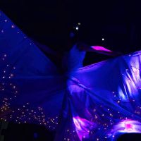 eventi aziendali, farfalle luminose su trampoli per grandi eventi eleganti